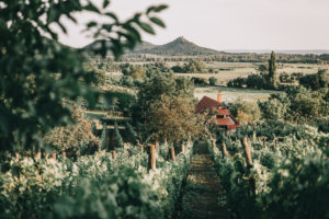 A Szent György- hegyi örök szerelem története - Egyedi Szállások